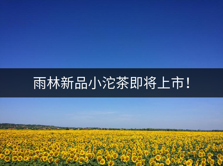 雨林新品小沱茶即將上市! 雨林新品小沱茶即將上市!