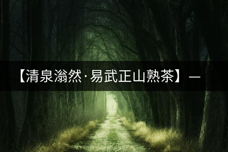 【清泉滃然·易武正山熟茶】——熨帖冬季的寒冷，來的正是時候！