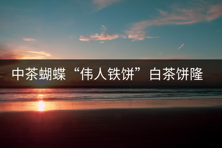 中茶蝴蝶“偉人鐵餅”白茶餅隆重上市 中茶蝴蝶“偉人鐵餅”白茶餅隆重上市