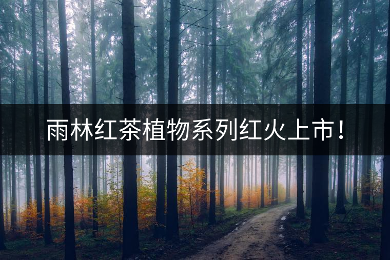 雨林紅茶植物系列紅火上市! 雨林紅茶植物系列紅火上市!