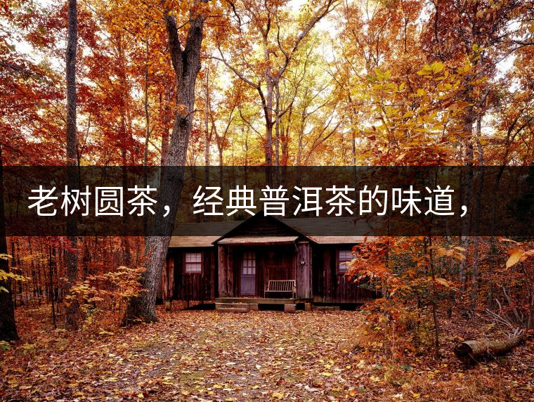 老樹圓茶,經典普洱茶的味道,即將上市 老樹圓茶,經典普洱茶的味道,即將上市