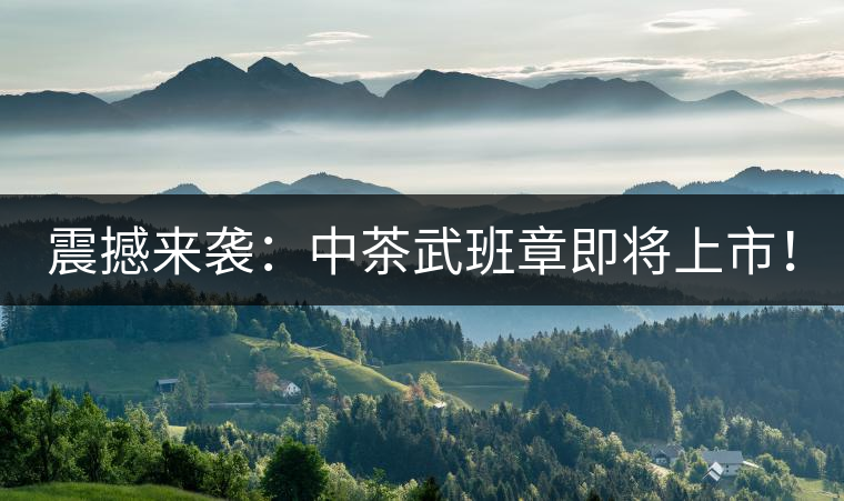 震撼來襲:中茶武班章即將上市! 震撼來襲:中茶武班章即將上市!