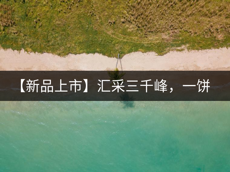 【新品上市】匯采三千峰，一餅群山鑄——群峰之峻！