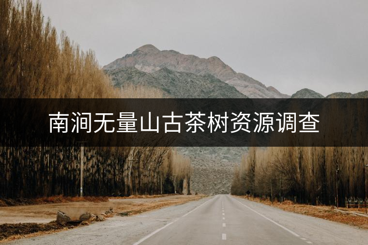 南澗無量山古茶樹資源調查