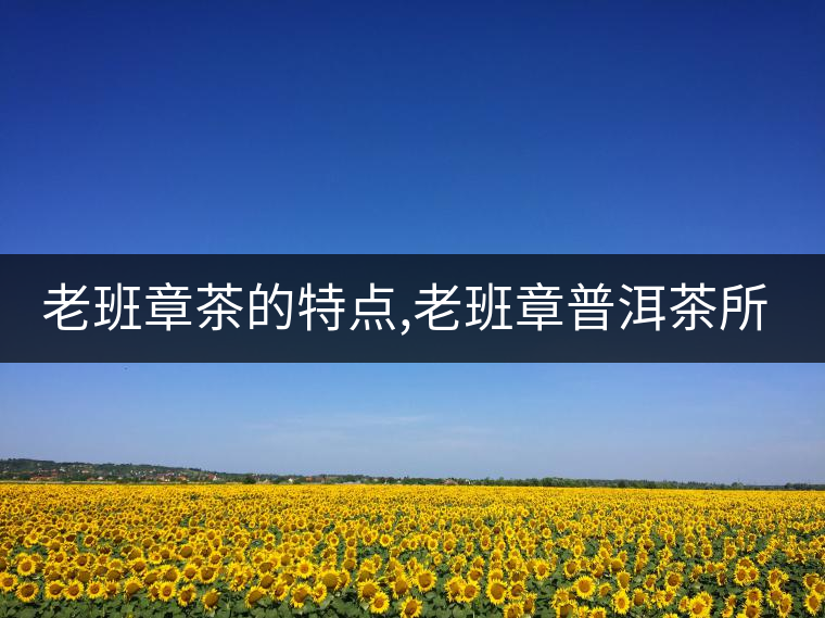 老班章茶的特點,老班章普洱茶所具有的7大特點 老班章茶的特點,老班章普洱茶所具有的7大特點