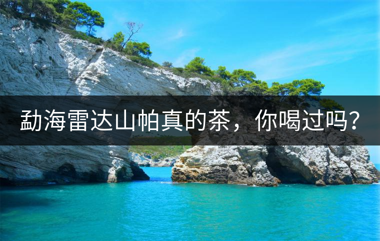 勐海雷達山帕真的茶,你喝過嗎? 勐海雷達山帕真的茶,你喝過嗎?