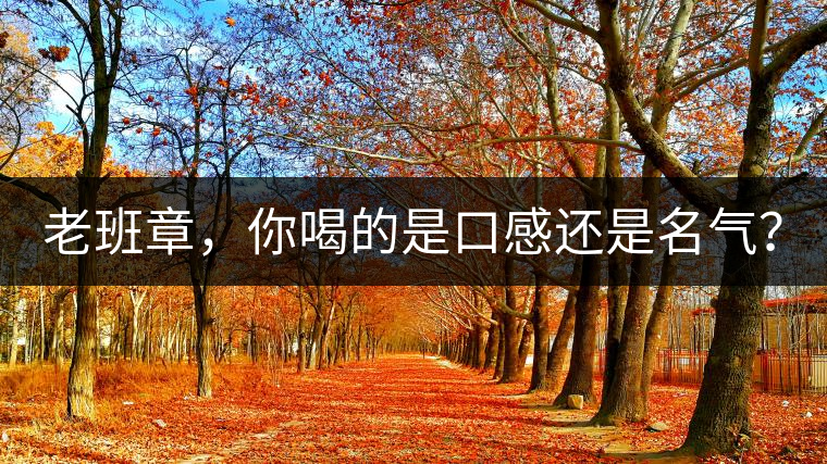 老班章,你喝的是口感還是名氣? 老班章,你喝的是口感還是名氣?