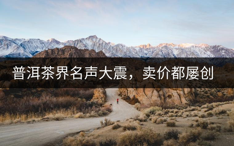 普洱茶界名聲大震,賣價都屢創新高竟然是它 普洱茶界名聲大震,賣價都屢創新高竟然是它