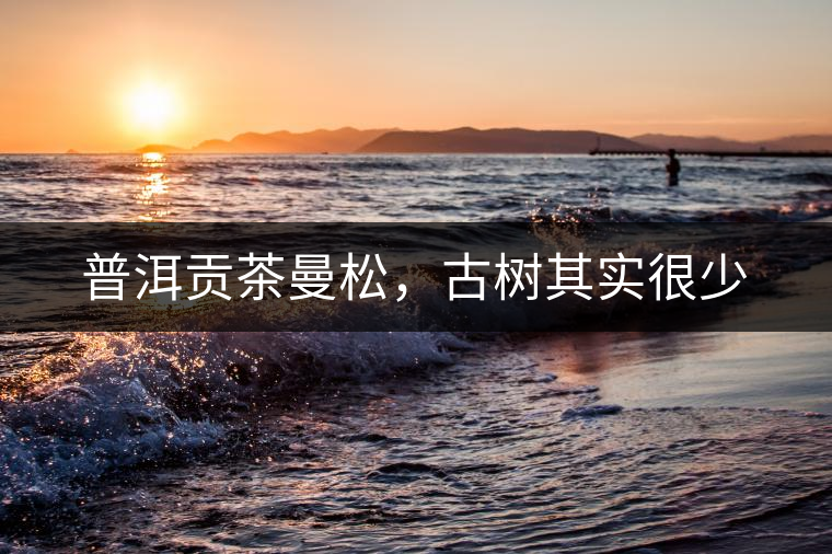 普洱貢茶曼松，古樹其實很少