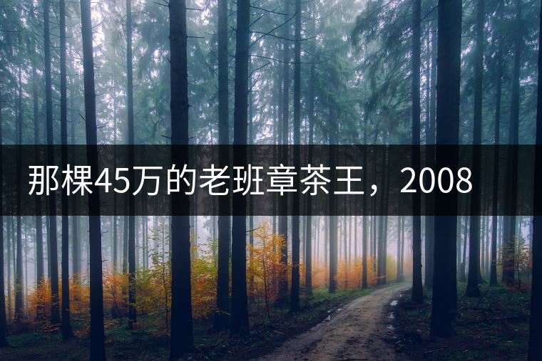 那棵45萬的老班章茶王,2008年是什么樣子的? 那棵45萬的老班章茶王,2008年是什么樣子的?