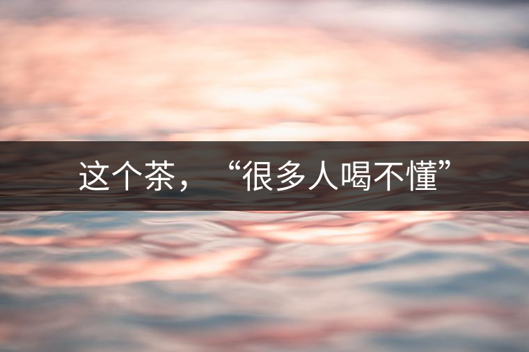 這個茶,“很多人喝不懂” 這個茶,“很多人喝不懂”