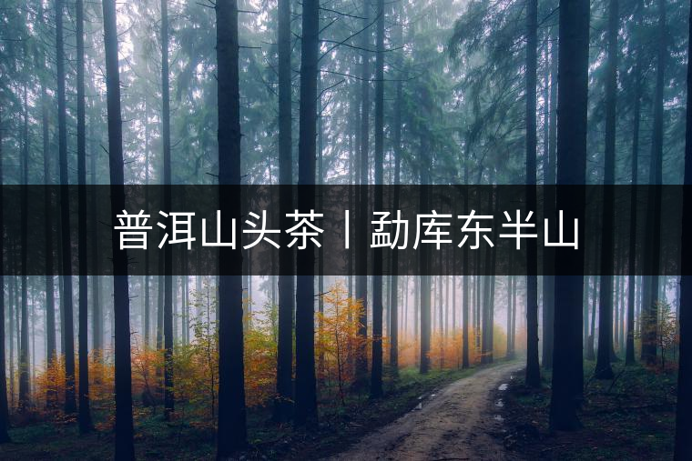 普洱山頭茶丨勐庫東半山 普洱山頭茶丨勐庫東半山