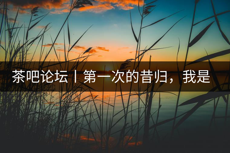 茶吧論壇丨第一次的昔歸，我是這樣喝到的