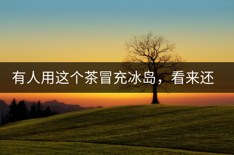 有人用這個(gè)茶冒充冰島,看來還是有幾分道理 有人用這個(gè)茶冒充冰島,看來還是有幾分道理