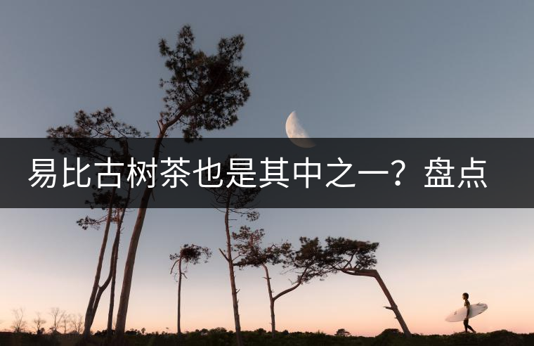 易比古樹茶也是其中之一?盤點當下易武最火的十大古樹茶! 易比古樹茶也是其中之一?盤點當下易武最火的十大古樹茶!