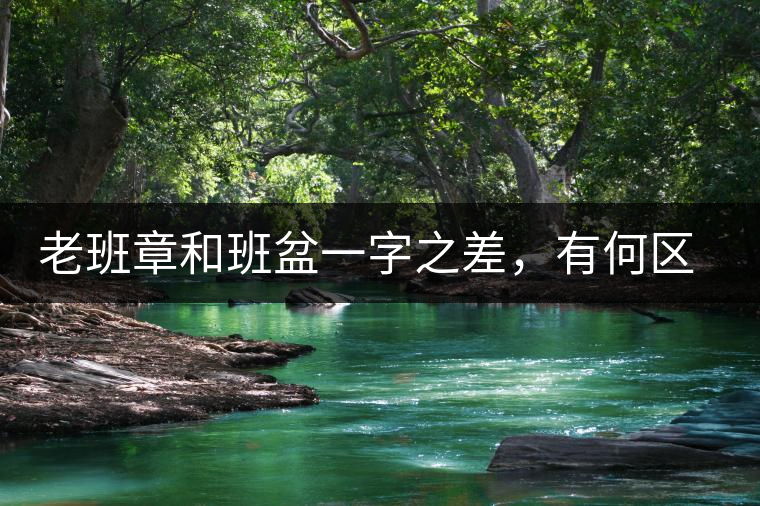老班章和班盆一字之差,有何區(qū)別 老班章和班盆一字之差,有何區(qū)別