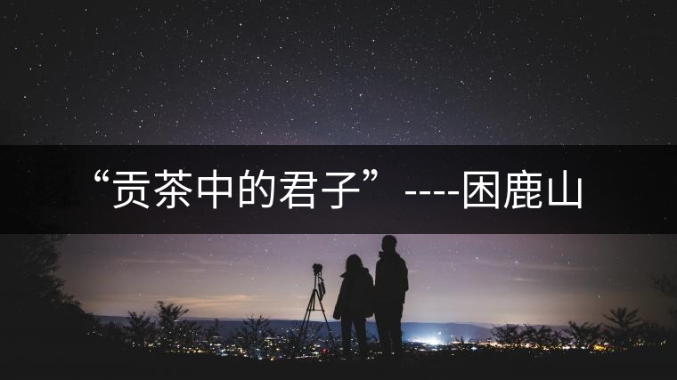 “貢茶中的君子”----困鹿山 “貢茶中的君子”----困鹿山