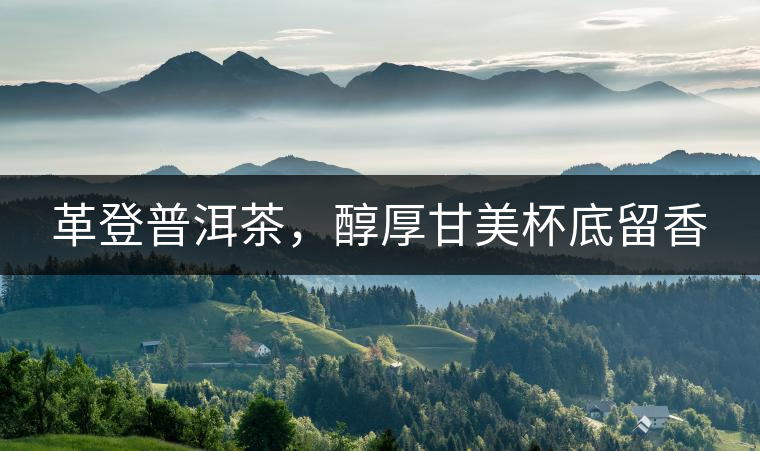 革登普洱茶,醇厚甘美杯底留香 革登普洱茶,醇厚甘美杯底留香