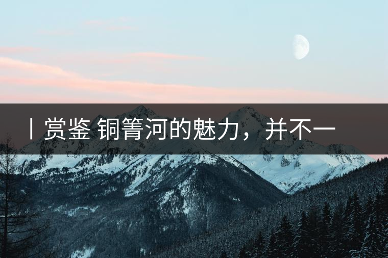 丨賞鑒 銅箐河的魅力，并不一定要古樹來體現(xiàn)