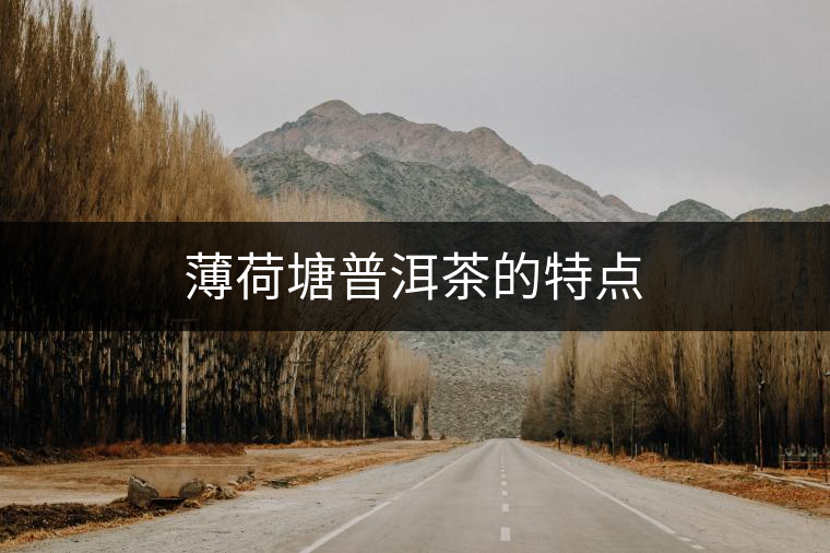 薄荷塘普洱茶的特點