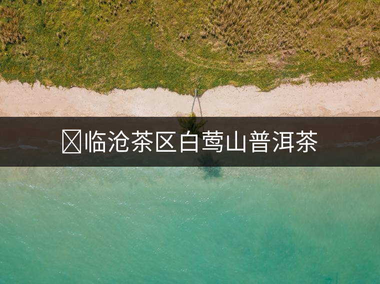 ?臨滄茶區白鶯山普洱茶 ?臨滄茶區白鶯山普洱茶