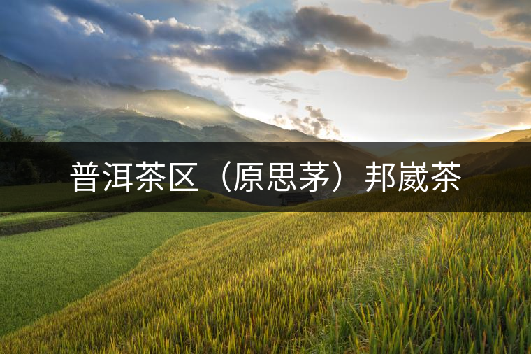 普洱茶區（原思茅）邦崴茶