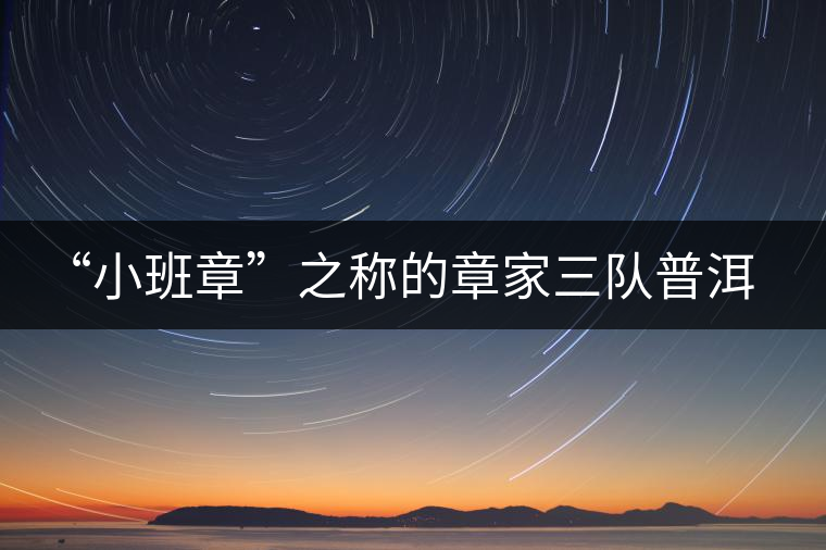 “小班章”之稱的章家三隊普洱茶 “小班章”之稱的章家三隊普洱茶