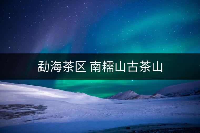 勐海茶區 南糯山古茶山 勐海茶區 南糯山古茶山