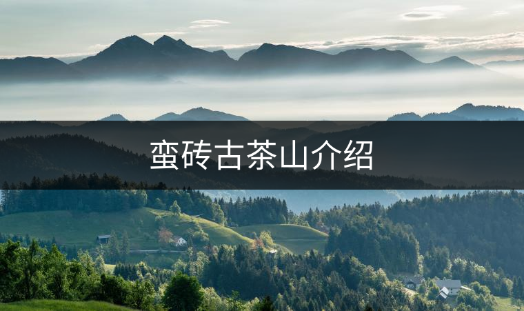 蠻磚古茶山介紹