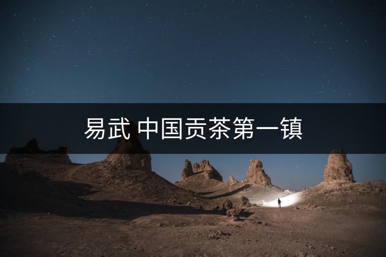 易武 中國貢茶第一鎮 易武 中國貢茶第一鎮