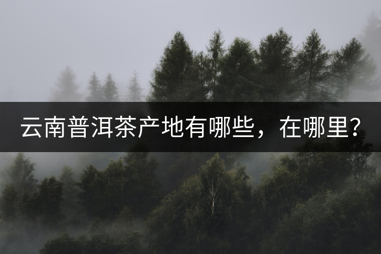 云南普洱茶產(chǎn)地有哪些,在哪里? 云南普洱茶產(chǎn)地有哪些,在哪里?