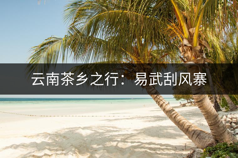云南茶鄉之行：易武刮風寨