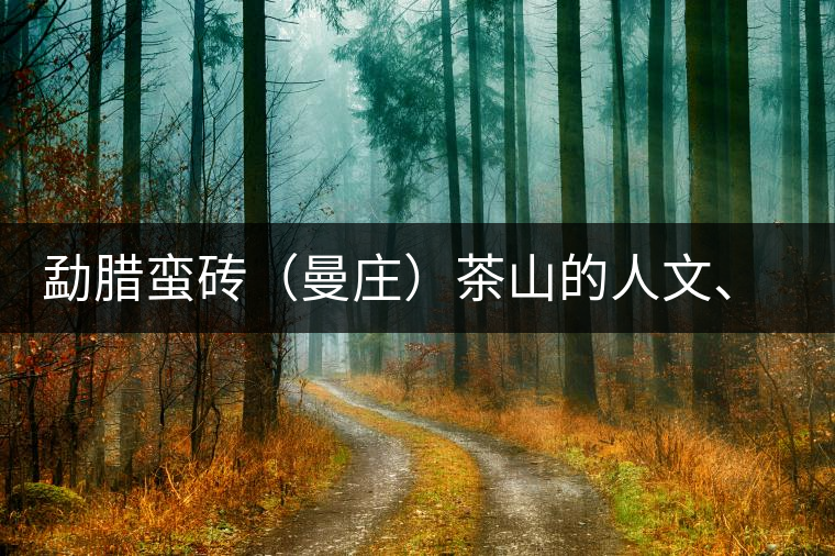 勐臘蠻磚（曼莊）茶山的人文、生態