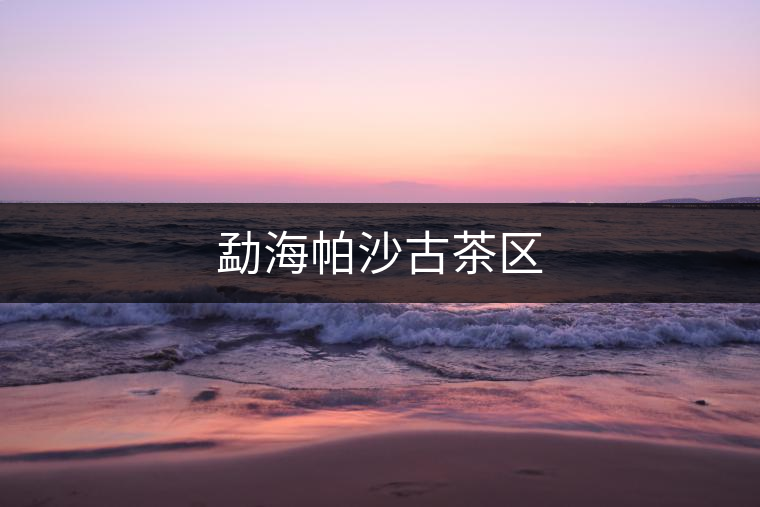 勐海帕沙古茶區