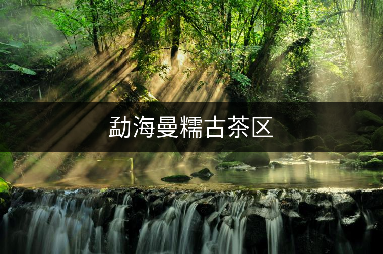 勐海曼糯古茶區 勐海曼糯古茶區