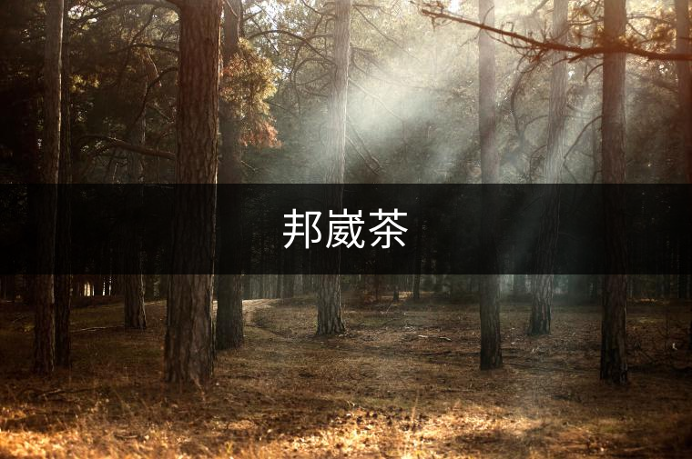 邦崴茶 邦崴茶
