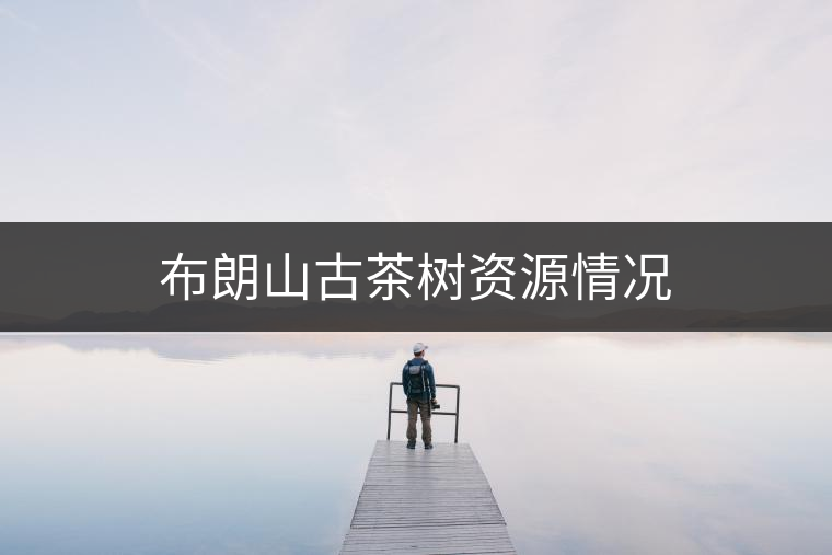 布朗山古茶樹資源情況