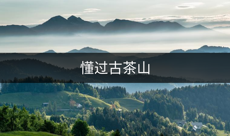 懂過古茶山 懂過古茶山