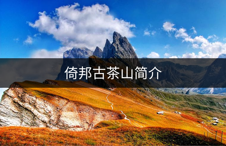 倚邦古茶山簡介 倚邦古茶山簡介