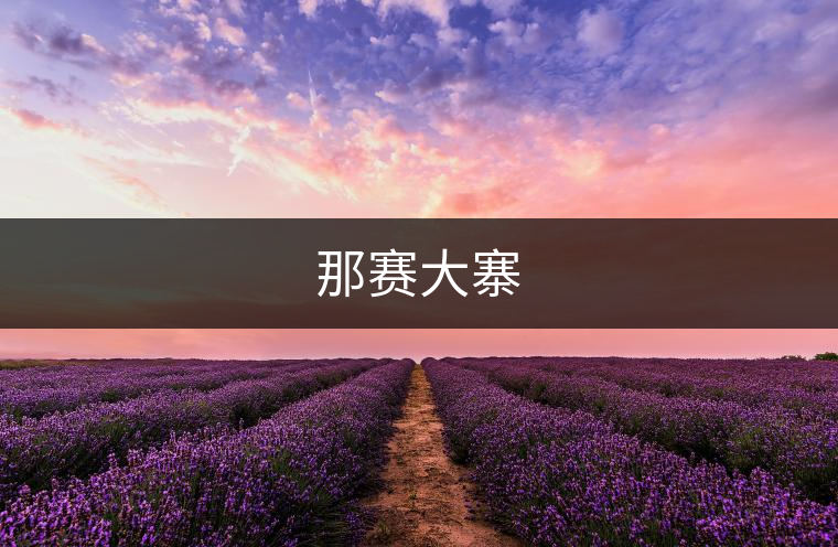 那賽大寨 那賽大寨