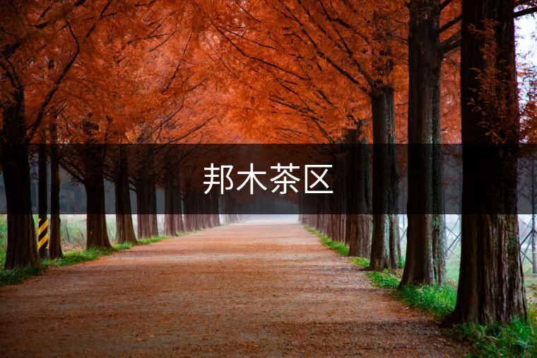 邦木茶區 邦木茶區