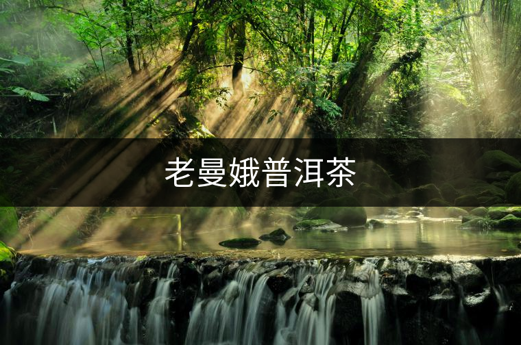 老曼娥普洱茶 老曼娥普洱茶