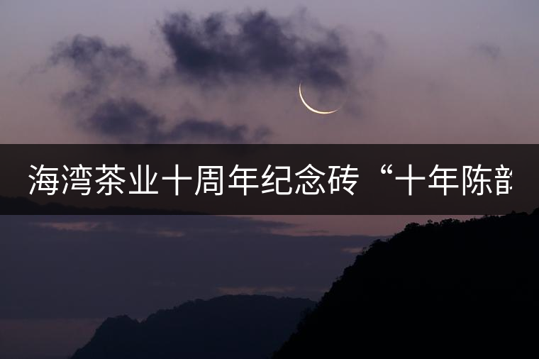 海灣茶業十周年紀念磚“十年陳韻”品鑒! 海灣茶業十周年紀念磚“十年陳韻”品鑒!