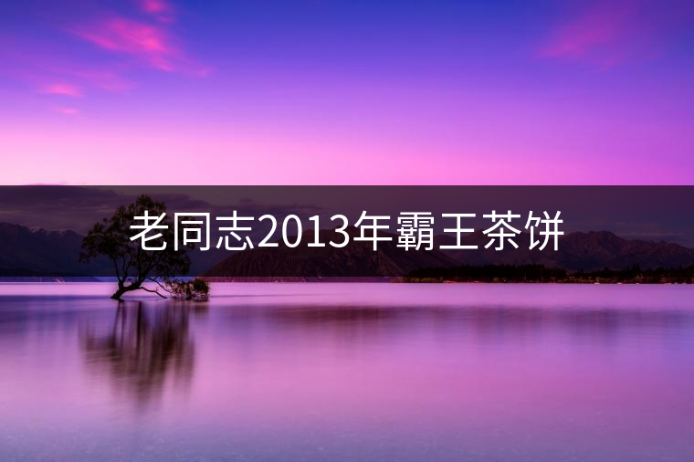 老同志2013年霸王茶餅