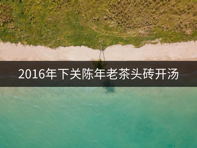 2016年下關陳年老茶頭磚開湯 2016年下關陳年老茶頭磚開湯