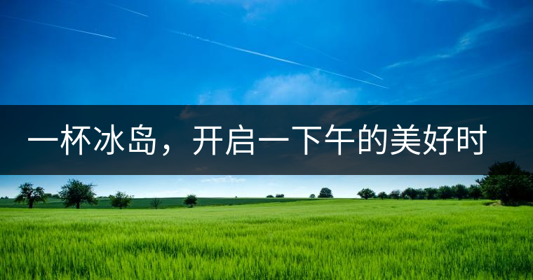 一杯冰島，開啟一下午的美好時光