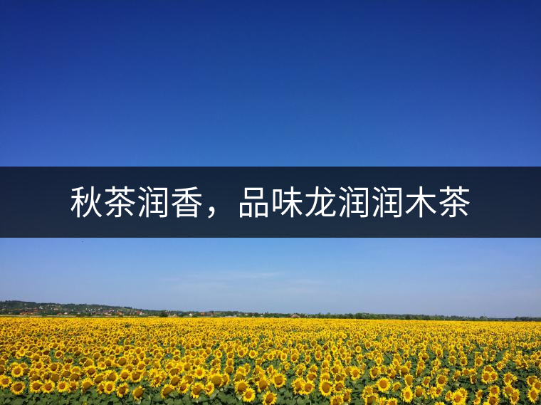 秋茶潤(rùn)香，品味龍潤(rùn)潤(rùn)木茶