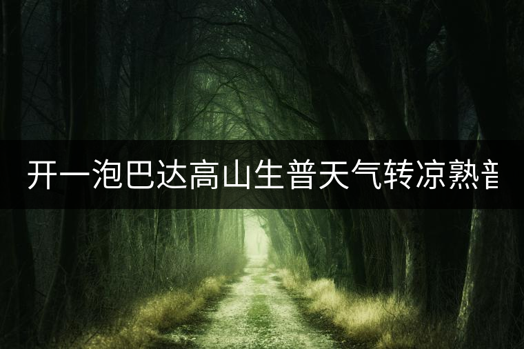 開一泡巴達高山生普天氣轉涼熟普又喝不慣，找到了這款2014巴達