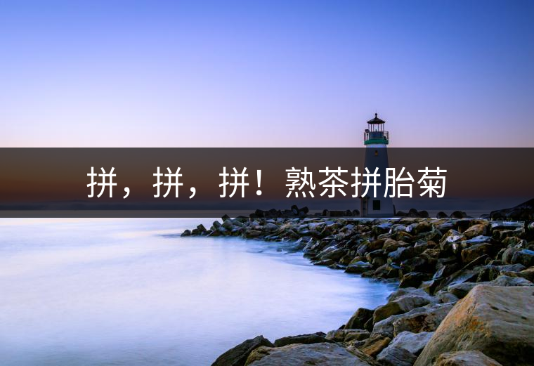 拼，拼，拼！熟茶拼胎菊