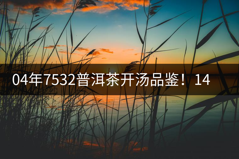 04年7532普洱茶開湯品鑒！14年轉(zhuǎn)化，經(jīng)典雪印配方！
